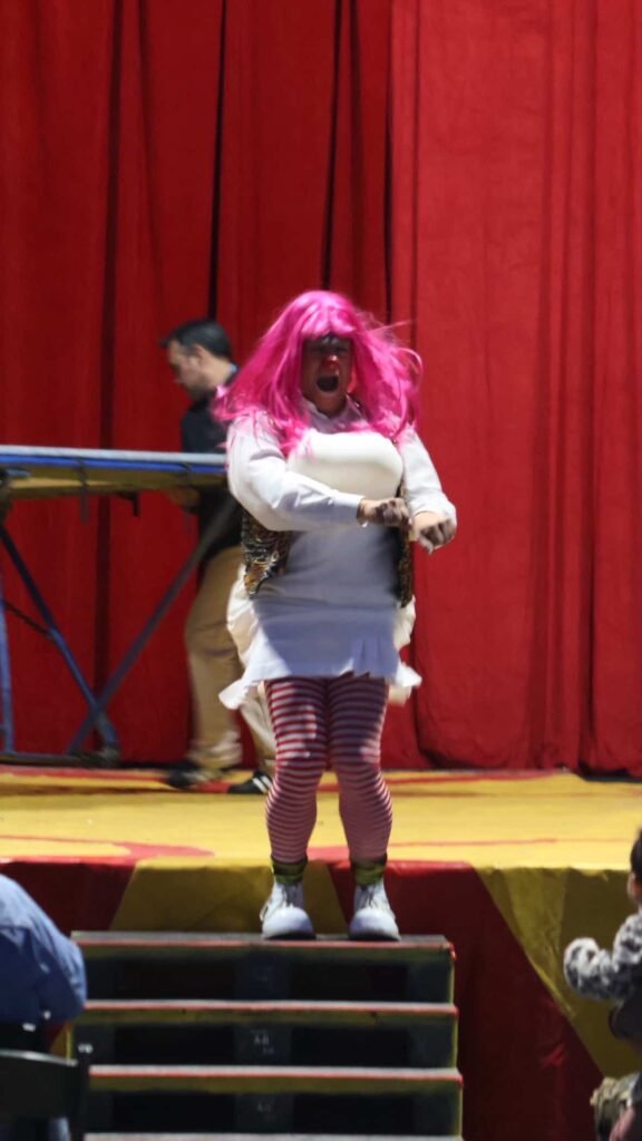 Clown performance on stage